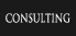 CONSULTING
