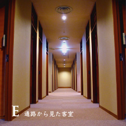 �ʘH���猩���q��